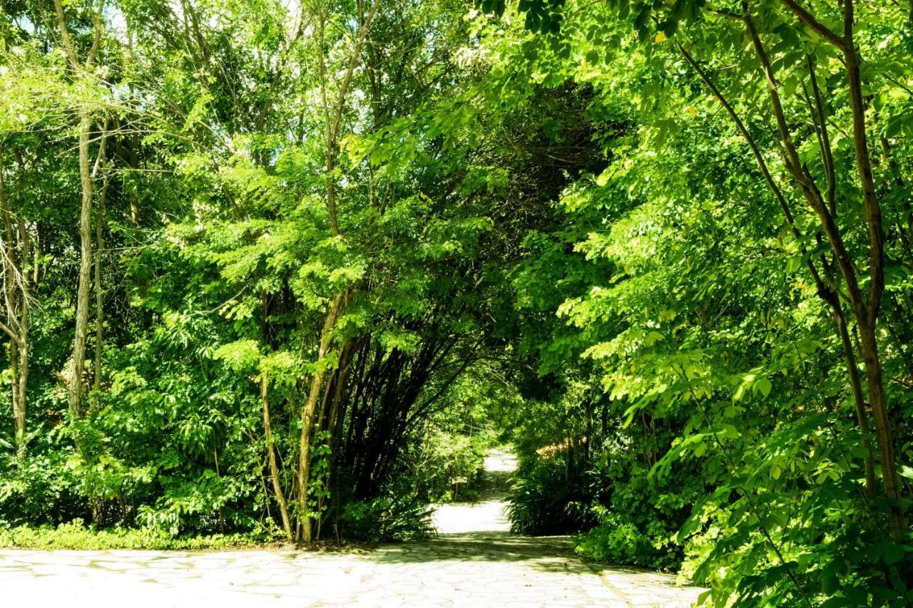 Pousada Villa Das Pedras Pirenópolis Dış mekan fotoğraf